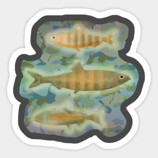 Cammo Fish Sticker